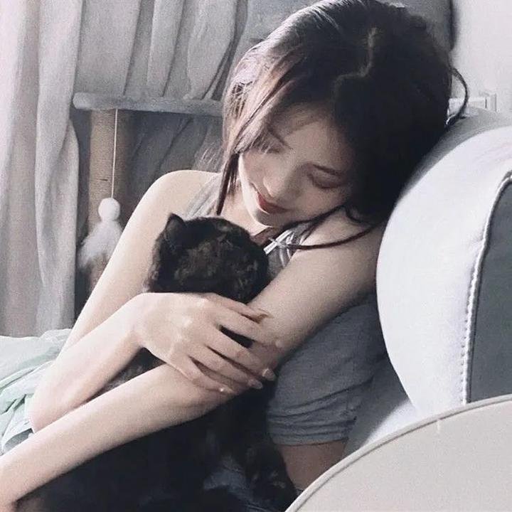 显而易见的傻瓜:电影版